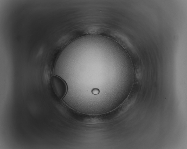 X0000103170503200808291513