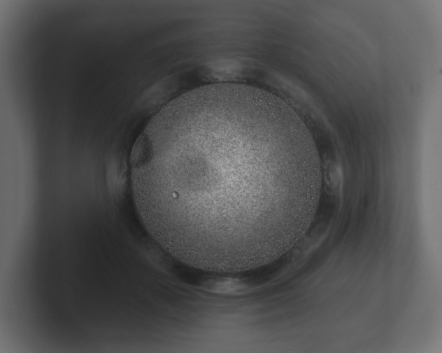 X0000103170507200808291513