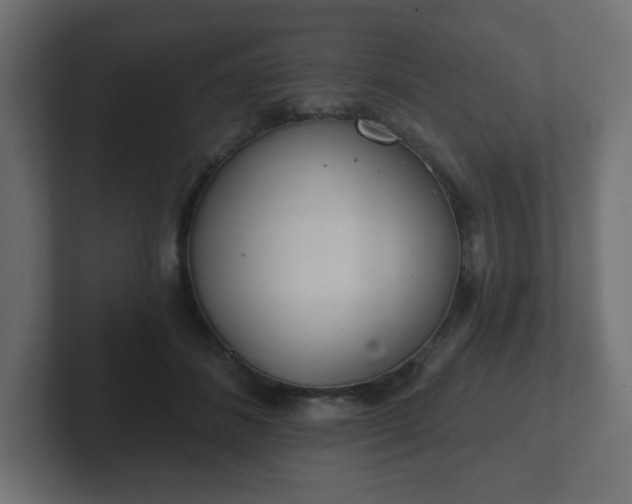 X0000103170508200808291513