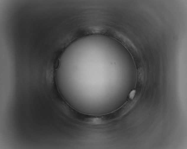 X0000103170509200808291513