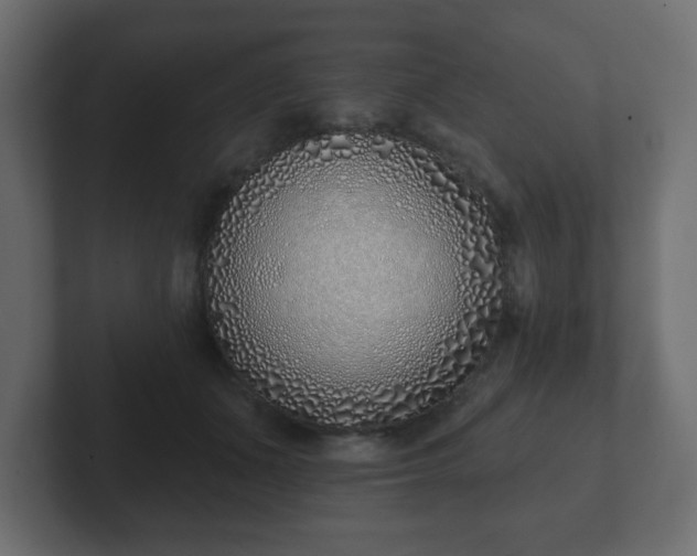 X0000103170511200808291513