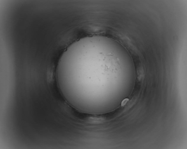 X0000103170515200808291513