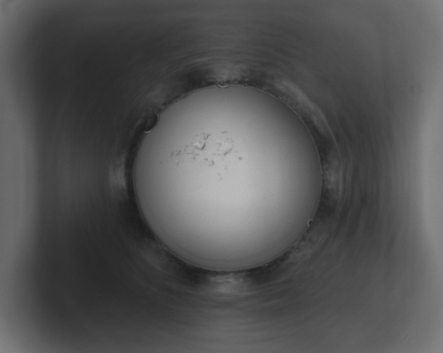 X0000103170516200808291513