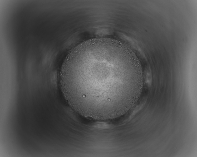 X0000103170519200808291513