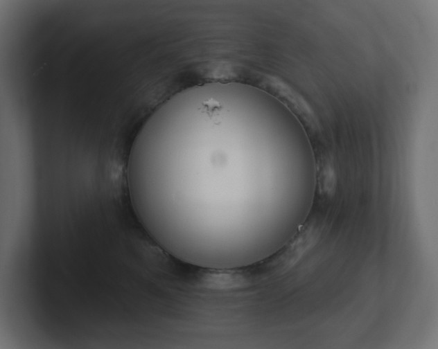 X0000103170521200808291513