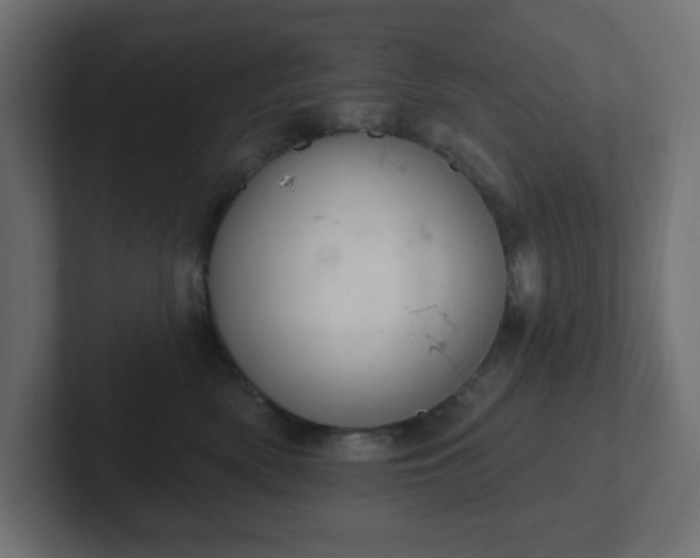 X0000103170522200808291513