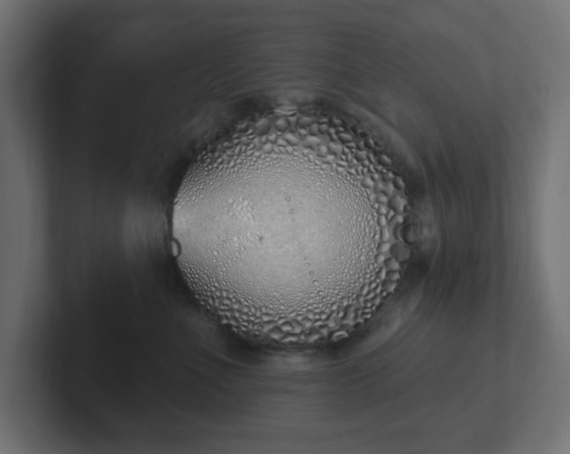 X0000103170523200808291513