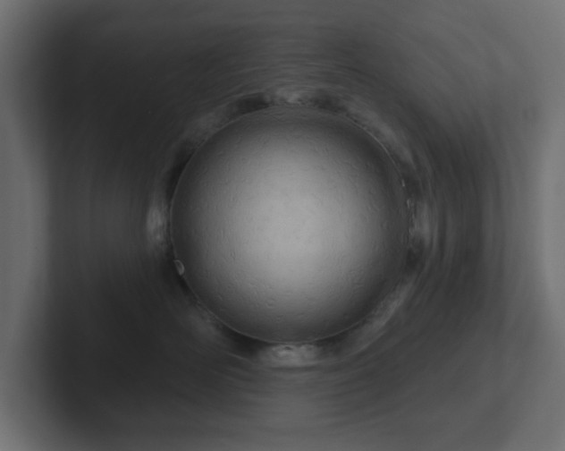 X0000103170526200808291513