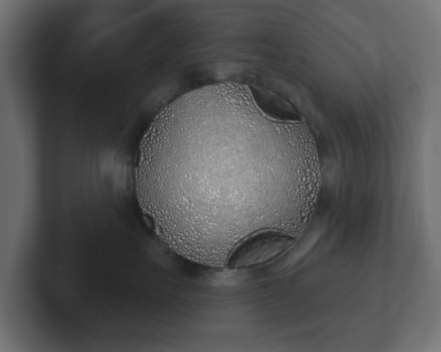 X0000103170527200808291513