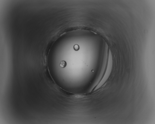 X0000103170528200808291512