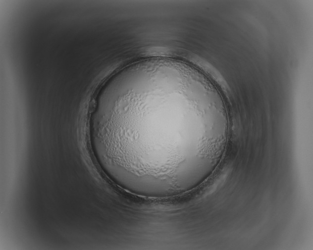 X0000103170529200808291512