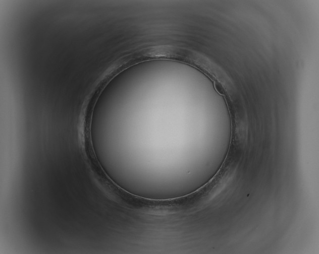 X0000103170530200808291512