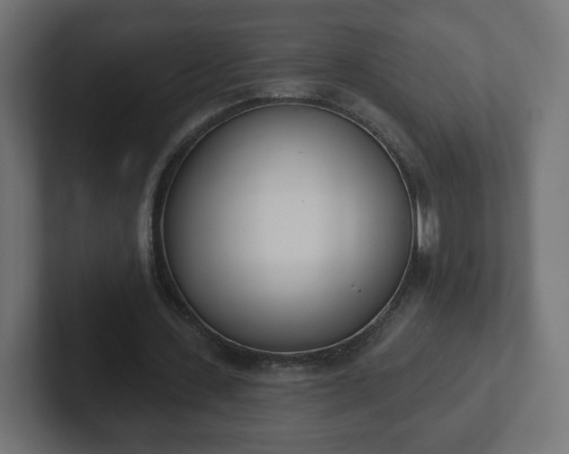 X0000103170531200808291512