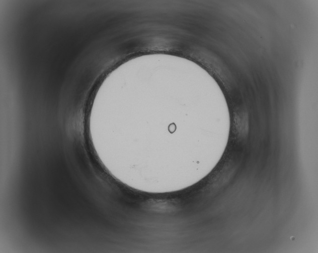 X0000103170534200808291512