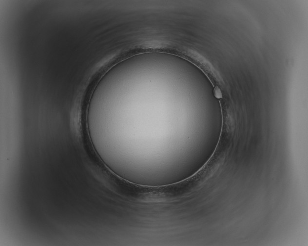 X0000103170535200808291512