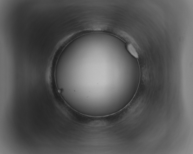 X0000103170536200808291512