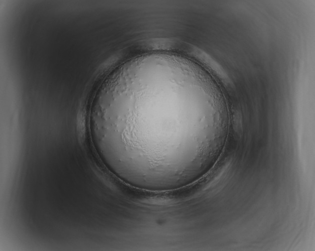 X0000103170537200808291512