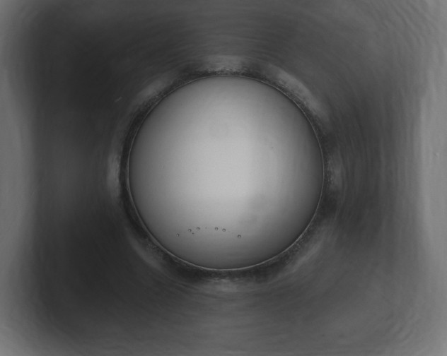 X0000103170538200808291512