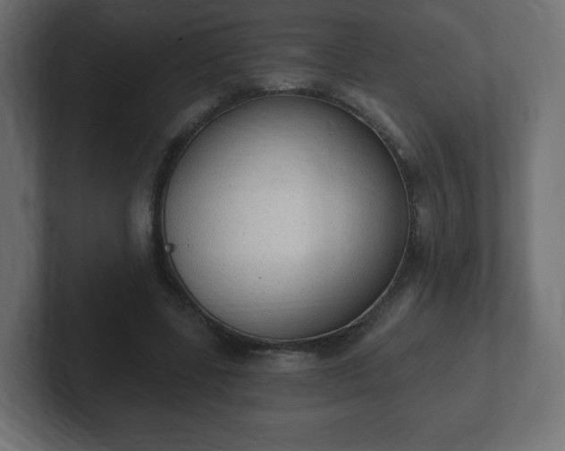 X0000103170539200808291512