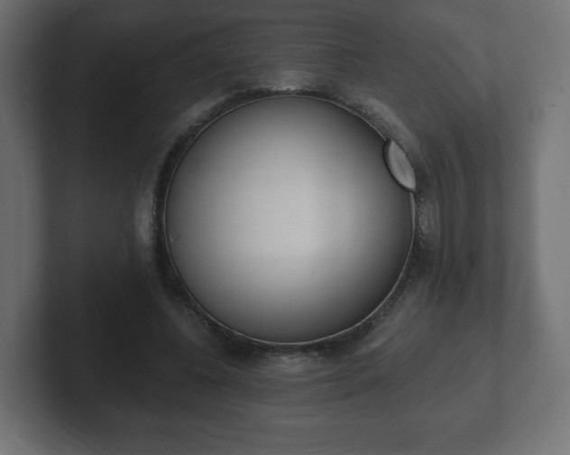 X0000103170540200808291512