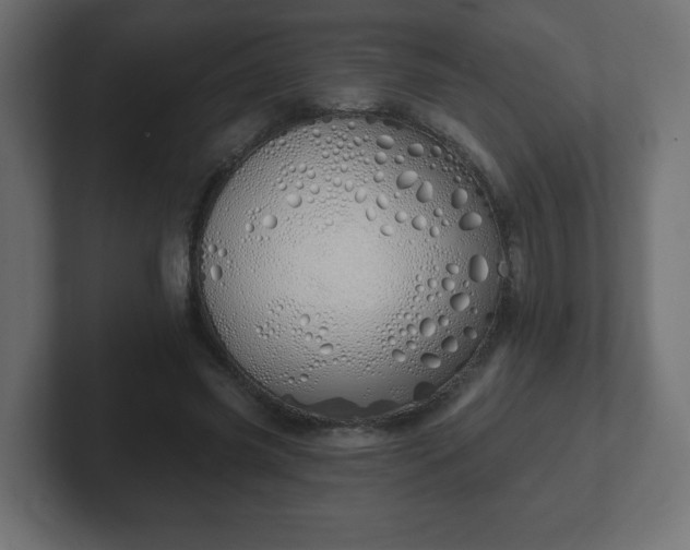 X0000103170541200808291512