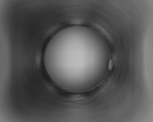 X0000103170544200808291512