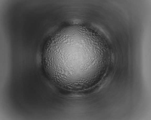 X0000103170545200808291512