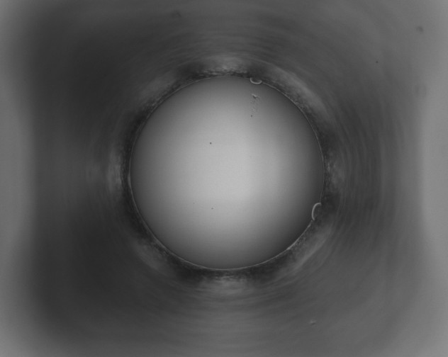 X0000103170546200808291512