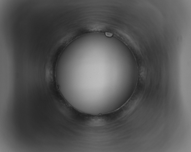 X0000103170547200808291512