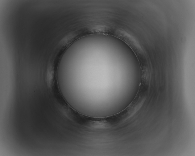 X0000103170548200808291512