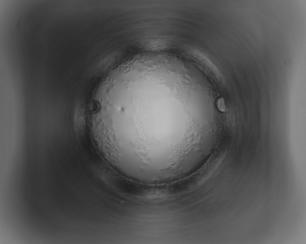 X0000103170549200808291512