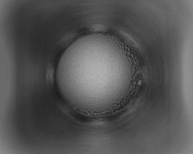 X0000103170550200808291512