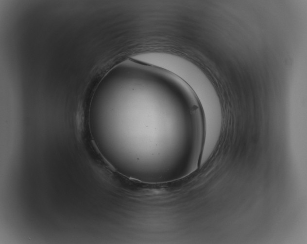 X0000103170552200808291512