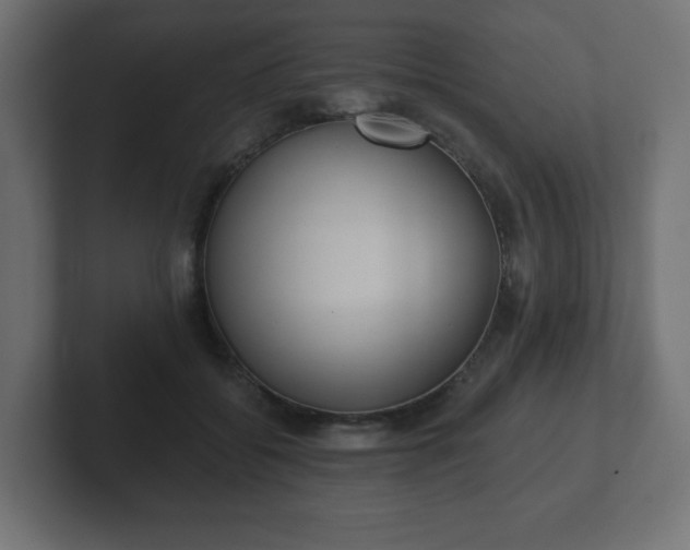 X0000103170556200808291512