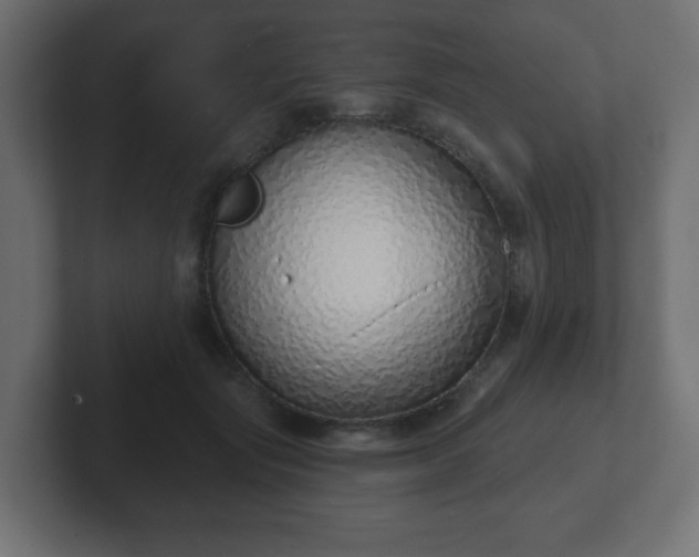 X0000103170557200808291512