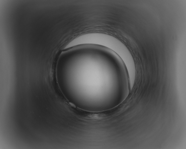 X0000103170558200808291512