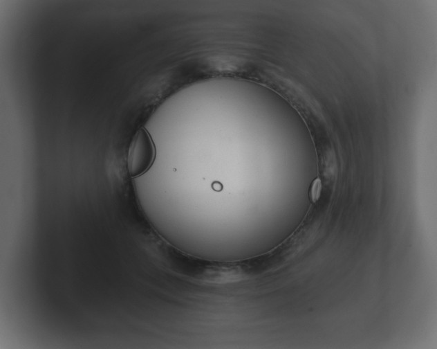 X0000103170559200808291512