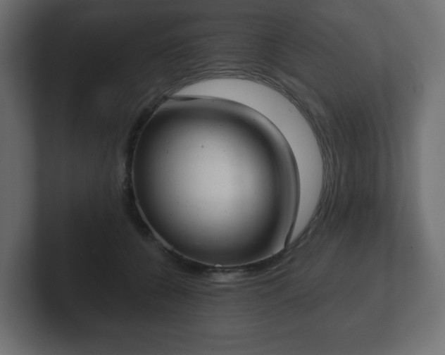 X0000103170560200808291512