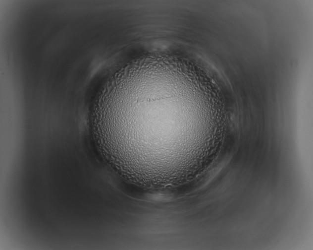 X0000103170561200808291512