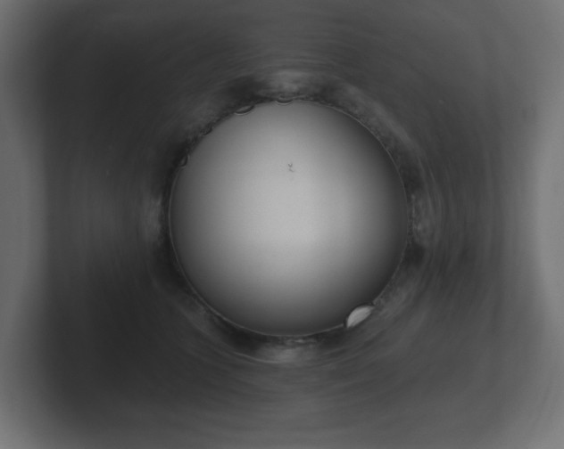 X0000103170563200808291512