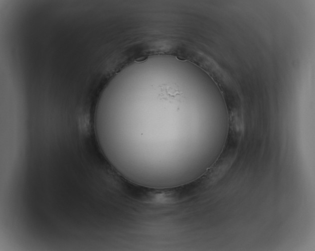 X0000103170564200808291512