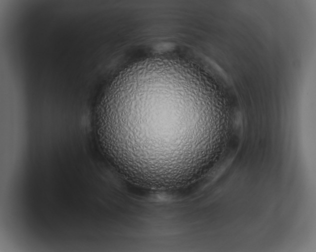 X0000103170565200808291512