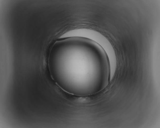 X0000103170566200808291512