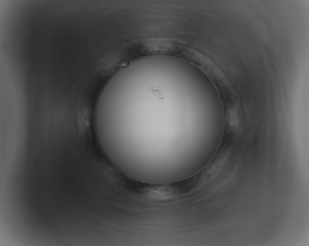 X0000103170567200808291512