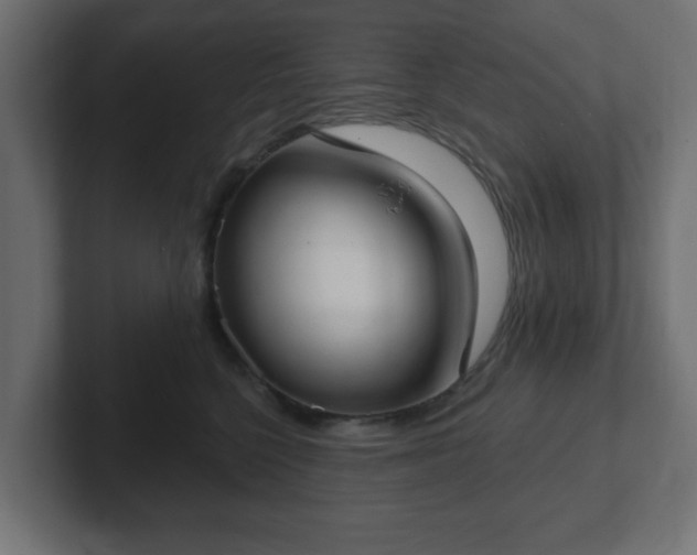 X0000103170568200808291512