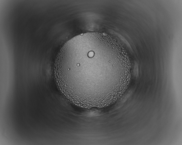 X0000103170569200808291512