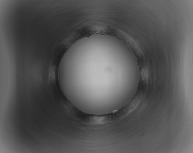 X0000103170570200808291512