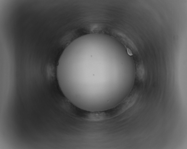 X0000103170571200808291512