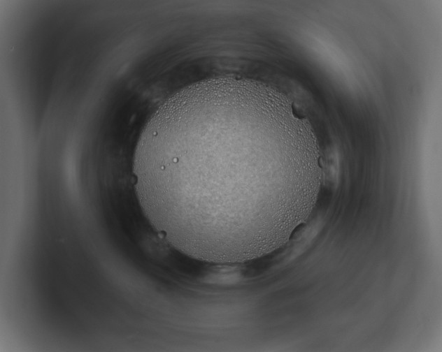 X0000103170573200808291512