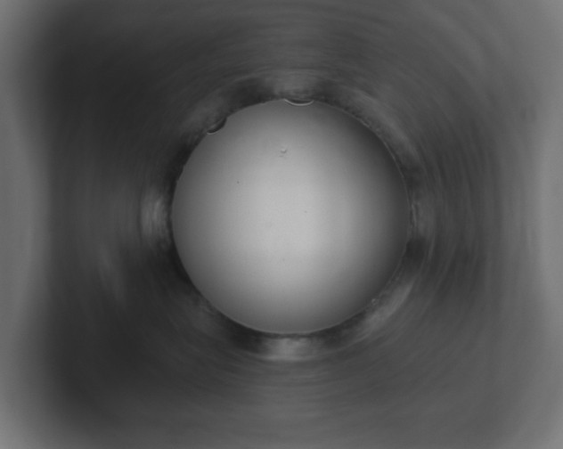 X0000103170575200808291512